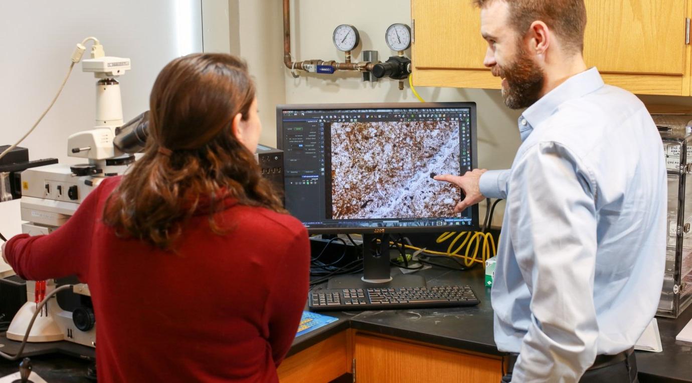 A professor shows a student a cell sample on a computer